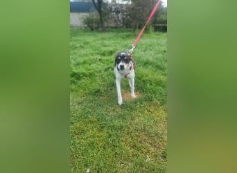 Mini-Mädchen Mandy sucht ihre Familie!