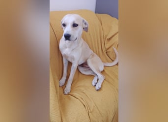Enza - Zufall oder Schicksal?
