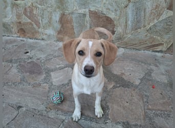 Gracie sucht dich