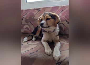 Eleni – bereit für gemeinsame Abenteuer