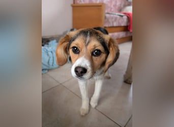 Eleni – bereit für gemeinsame Abenteuer