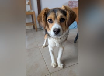 Eleni – bereit für gemeinsame Abenteuer