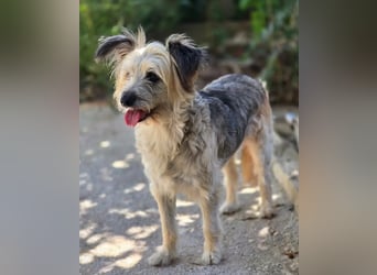 Lotti – wunderschön und noch sehr unsicher 