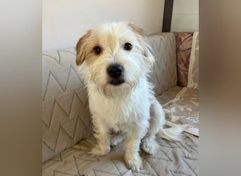 Muzie – freundlich, aufgeschlossen, möchte gefallen 