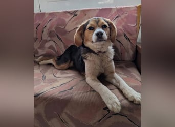 Eleni – bereit für gemeinsame Abenteuer