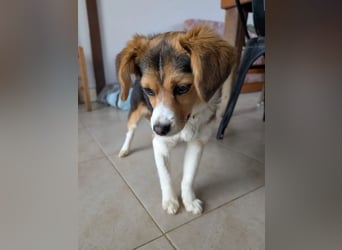 Eleni – bereit für gemeinsame Abenteuer