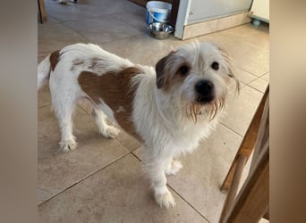 Muzie – freundlich, aufgeschlossen, möchte gefallen 