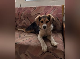 Eleni – bereit für gemeinsame Abenteuer