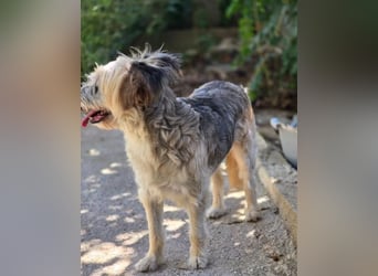 Lotti – wunderschön und noch sehr unsicher 