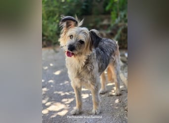 Lotti – wunderschön und noch sehr unsicher 