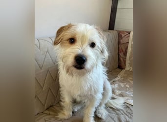 Muzie – freundlich, aufgeschlossen, möchte gefallen 