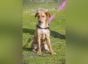 Tefal SI - freundlich, aufgeschlossen