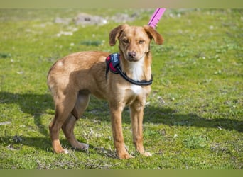 Tefal SI - freundlich, aufgeschlossen