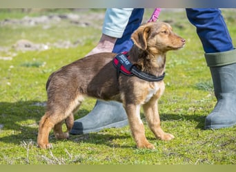 Temu SI - freundlich, offen 