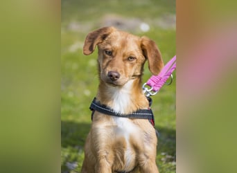 Tefal SI - freundlich, aufgeschlossen