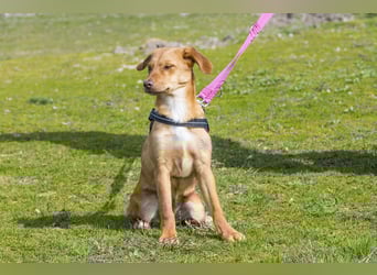 Tefal SI - freundlich, aufgeschlossen