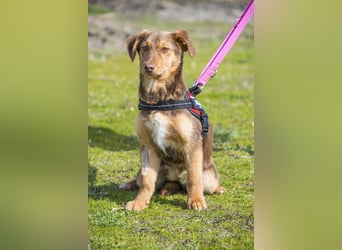 Temu SI - freundlich, offen 