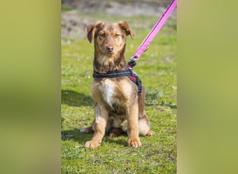 Temu SI - freundlich, offen 