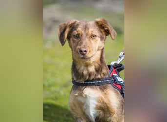 Temu SI - freundlich, offen 