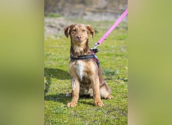 Temu SI - freundlich, offen 