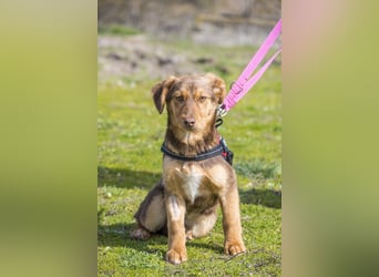 Temu SI - freundlich, offen 