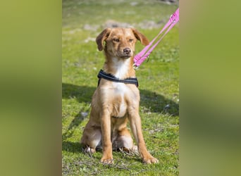 Tefal SI - freundlich, aufgeschlossen