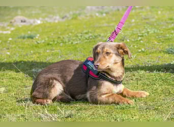 Temu SI - freundlich, offen 