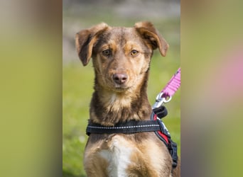 Temu SI - freundlich, offen 