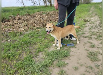 Wendy,  Geboren 07.2018, 42 cm sucht ihre Herzensmenschen