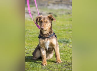 Temu SI - freundlich, offen 