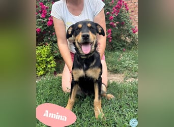 Amina - freundlich, liebevoll