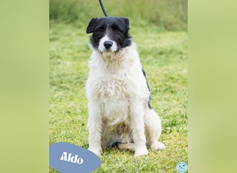 Aldo SI - kinderfreundlich 