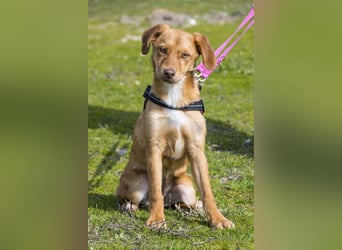 Tefal SI - freundlich, aufgeschlossen