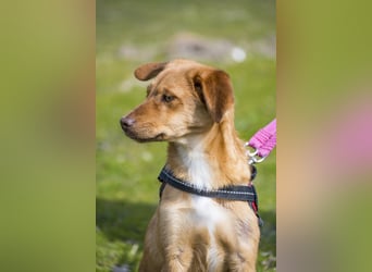 Tefal SI - freundlich, aufgeschlossen