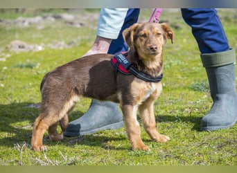 Temu SI - freundlich, offen 