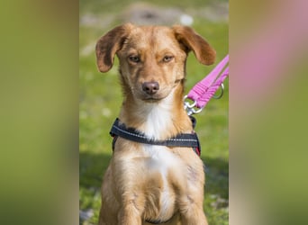 Tefal SI - freundlich, aufgeschlossen