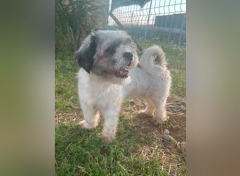 Fritzi sucht ihr Zuhause