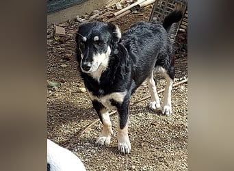 Daiana - klein, bildhübsch und sehr freundlich