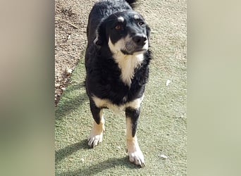 Daiana - klein, bildhübsch und sehr freundlich