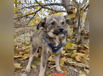 Hale - keiner Charmeur mit dem süßesten Lächeln der Welt!