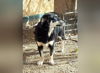 Daiana - klein, bildhübsch und sehr freundlich