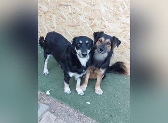 Daiana - klein, bildhübsch und sehr freundlich