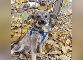 Hale - keiner Charmeur mit dem süßesten Lächeln der Welt!