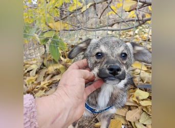 Hale - keiner Charmeur mit dem süßesten Lächeln der Welt!