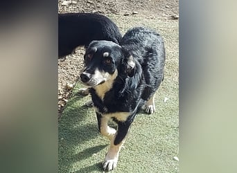 Daiana - klein, bildhübsch und sehr freundlich