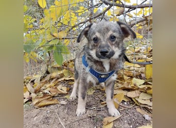 Hale - keiner Charmeur mit dem süßesten Lächeln der Welt!