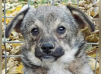 Hale - keiner Charmeur mit dem süßesten Lächeln der Welt!