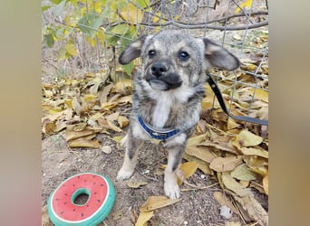 Hale - keiner Charmeur mit dem süßesten Lächeln der Welt!