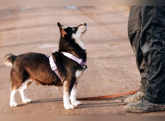 Traumhaft schöne Ketty ❤️ sucht ihre Herzensmenschen