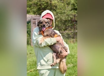 Martyschka ❤️ fröhliche junge Hündin sucht ihr Für-immer-Zuhause